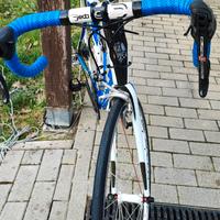 Bianchi Infinito Carbonio Campagnolo 11v
