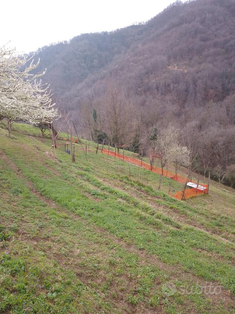 Terreno agricolo - View 4