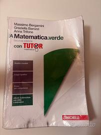 Lotto libri di Matematica