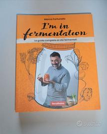 I'm in fermentation + Fervìda Fermenti di vita