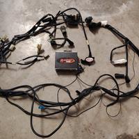 centralina rapid bike 3 yamaha r6 06/07