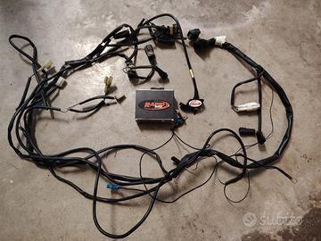 centralina rapid bike 3 yamaha r6 06/07