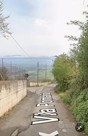 Terreno con ulivi e pozzo con acqua