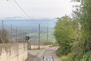 Terreno con ulivi e pozzo con acqua