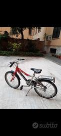 Bicicletta ragazzo