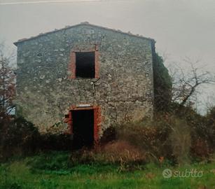 Terreno agricolo con rustico
