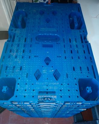 pedane pallet 