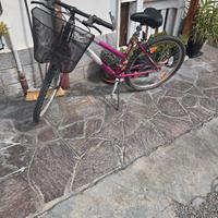 Bicicletta