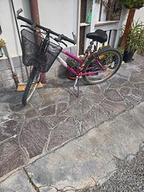 Bicicletta