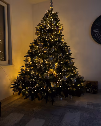 Albero di natale CLIFFORD 210 Cm