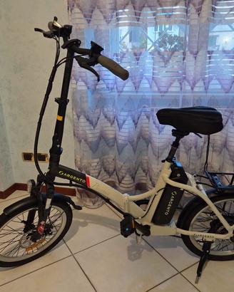 Bici elettrica pieghevole Argento Piuma assistita