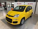 fiat-panda-pandina-1-0-firefly-65-cv-hybrid-pop