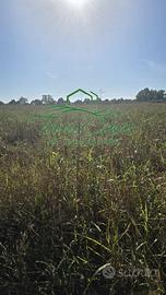 Terreno agricolo di ampia metratura a Vacil, Breda