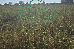 Terreno agricolo di ampia metratura a Vacil, Breda