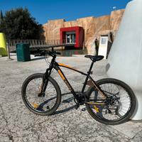 Bici MTB Momo Design