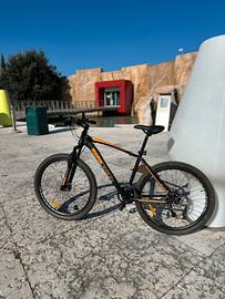 Bici MTB Momo Design