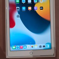 Apple Ipad Air 2  4g   128gb 