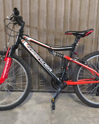 Bicicletta ragazzo / uomo