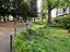 Immagine 26