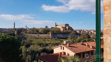 Camera singola zona ravacciano siena