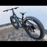 Bicicletta
