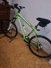 Corratec X-Vert Motion VERDE