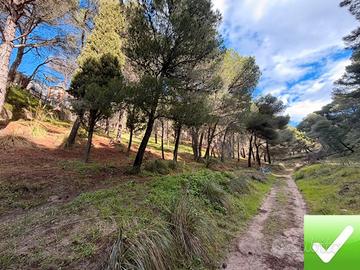 Terreno Boschivo Terreti 20650 Mq
