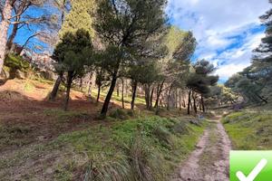 Terreno Boschivo Terreti 20650 Mq