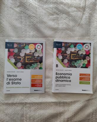 ECONOMIA PUBBLICA DINAMICA VOL.B