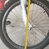 Bicicletta