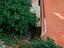 Immagine 16