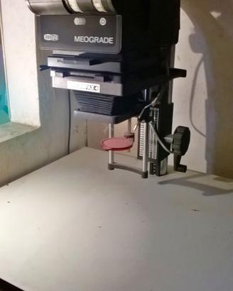 INGRANDITORE STAMPA  B\N