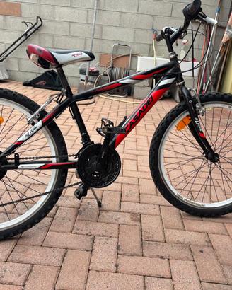 Bicicletta casadei