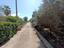 Immagine 29