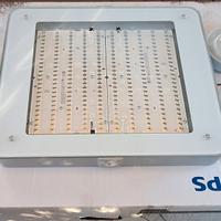 Lampada Led Philips