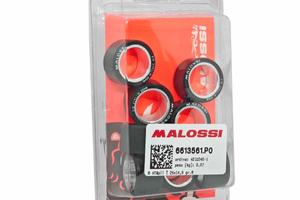 kit Malossi 8 rulli HTROLL Ø 25x14,9 mm 16gr.nuovo