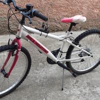 bicicletta 24''