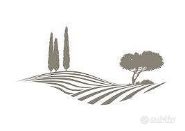 Rif.4016L| area edificabile chioggia - Vista 2