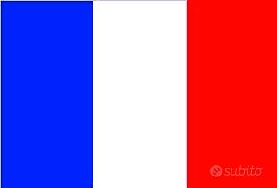 Madrelingua francese impartisce lezioni - ripetizi