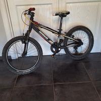 bicicletta mtb 20