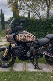 Pan America Special 1250