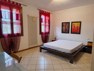 Camera grande e ben arredata