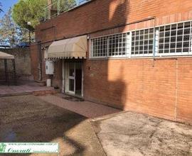 Locale/Magazzino Mq 541 Commerciale Cod.CC-188