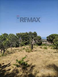 Terreno Edificabile - Trecastagni