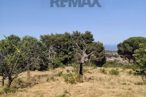 Terreno Edificabile - Trecastagni
