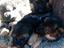 Immagine 6