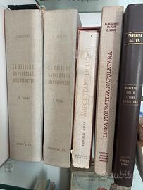 Svariati libri sulla pittura napoletana dell’800