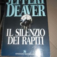 IL SILENZIO DEI RAPITI