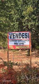 Terreno edificabile