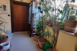 Montesanto Via San Cristoforo All'Olivella R.406V